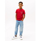 CAMISETA NIÑO TOMMY HILFIGER CON LOGO GRAFICO