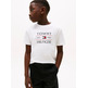 CAMISETA NIÑO TOMMY HILFIGER CON LOGO FIT REGULAR