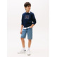 SUDADERA NIÑO TOMMY HILFIGER CON LOGO