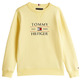 SUDADERA NIÑO TOMMY HILFIGER CON LOGO