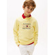 SUDADERA NIÑO TOMMY HILFIGER CON LOGO