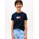 CAMISETA NIÑO TOMMY HILFIGER CON LOGO