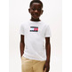 CAMISETA NIÑO TOMMY HILFIGER CON LOGO