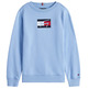 SUDADERA NIÑO TOMMY HILFIGER CON LOGO