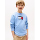 SUDADERA NIÑO TOMMY HILFIGER CON LOGO