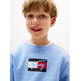 SUDADERA NIÑO TOMMY HILFIGER CON LOGO