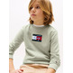 SUDADERA NIÑO TOMMY HILFIGER CON LOGO