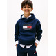 SUDADERA CON CAPUCHA NIÑO TOMMY HILFIGER LOGO BANDERA