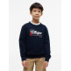 NIÑO EMBROIDERY GRAPHIC SWEATSHIRT C1G
