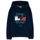 SUDADERA NIÑO  TOMMY HILFIGER FLAG GRAFITTI HOODIE