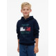 SUDADERA NIÑO  TOMMY HILFIGER FLAG GRAFITTI HOODIE