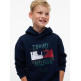 SUDADERA NIÑO  TOMMY HILFIGER FLAG GRAFITTI HOODIE
