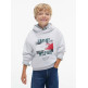SUDADERA NIÑO  TOMMY HILFIGER FLAG GRAFITTI HOODIE