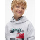 SUDADERA NIÑO  TOMMY HILFIGER FLAG GRAFITTI HOODIE