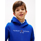 SUDADERA INFANTIL CON CAPUCHA TOMMY HILFIGER