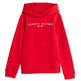 SUDADERA INFANTIL CON CAPUCHA TOMMY HILFIGER