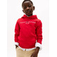 SUDADERA INFANTIL CON CAPUCHA TOMMY HILFIGER