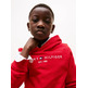 SUDADERA INFANTIL CON CAPUCHA TOMMY HILFIGER