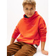 SUDADERA INFANTIL TOMMY HILFIGER CON CAPUCHA