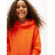 SUDADERA INFANTIL TOMMY HILFIGER CON CAPUCHA