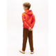SUDADERA INFANTIL TOMMY HILFIGER CON CAPUCHA