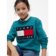 UNISEX HERITAGE FLAG SWEATSHIRT CT3