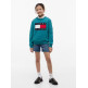 UNISEX HERITAGE FLAG SWEATSHIRT CT3