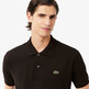 POLO HOMBRE  LACOSTE CHEMISE COL BORD-COTES MANCHES