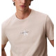 CAMISETA HOMBRE CALVIN KLEIN CON MONOLOGO
