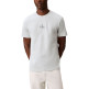 CAMISETA HOMBRE CALVIN KLEIN CON MONOLOGO