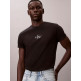 HOMBRE M SS 30S MICRO MONOLOGO GRAPHI UB1