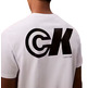 CAMISETA HOMBRE  CALVIN KLEIN M SS 20S CK SPORT LOGO GRAPHIC