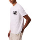 CAMISETA HOMBRE  CALVIN KLEIN M SS 20S CK SPORT LOGO GRAPHIC