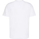 CAMISETA HOMBRE  CALVIN KLEIN M SS 30S EU CK BH LOGO GRAPHIC
