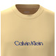 CAMISETA HOMBRE  CALVIN KLEIN M SS GLITCHED LOGO EU CLASSIC