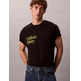 CAMISETA HOMBRE  CALVIN KLEIN M SS 20S IO CALVIN KLEIN CIRC