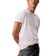 CAMISETA HOMBRE  CALVIN KLEIN M SS 20S IO CALVIN KLEIN CIRC