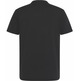 CAMISETA HOMBRE  CALVIN KLEIN M SS 30S EU CK CALVIN GRAPHIC