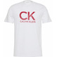 CAMISETA HOMBRE  CALVIN KLEIN M SS 30S EU CK CALVIN GRAPHIC