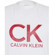CAMISETA HOMBRE  CALVIN KLEIN M SS 30S EU CK CALVIN GRAPHIC