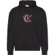 SUDADERA HOMBRE  CALVIN KLEIN M LS EU 350TERRY GRAPHIC HOODI
