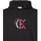 SUDADERA HOMBRE  CALVIN KLEIN M LS EU 350TERRY GRAPHIC HOODI