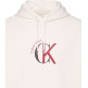 SUDADERA HOMBRE  CALVIN KLEIN M LS EU 350TERRY GRAPHIC HOODI