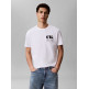CAMISETA HOMBRE  CALVIN KLEIN M SS 30S EU CK RESORT GRAPHIC