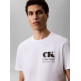 CAMISETA HOMBRE  CALVIN KLEIN M SS 30S EU CK RESORT GRAPHIC