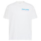 CAMISETA HOMBRE  CALVIN KLEIN M SS 20S CALVIN DISC STACK GRA