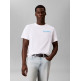 CAMISETA HOMBRE  CALVIN KLEIN M SS 20S CALVIN DISC STACK GRA