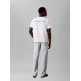 CAMISETA HOMBRE  CALVIN KLEIN M SS 20S CALVIN DISC STACK GRA