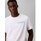 CAMISETA HOMBRE  CALVIN KLEIN M SS 20S CALVIN DISC STACK GRA