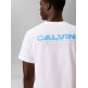 CAMISETA HOMBRE  CALVIN KLEIN M SS 20S CALVIN DISC STACK GRA